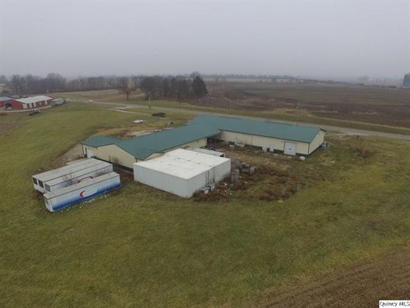 Big River Fish Corporation: 30402 State Highway 107, Griggsville, IL 62340